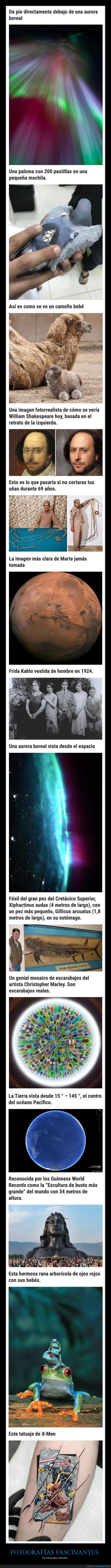 fotografías fascinantes,cosas poco comunes,curiosidades