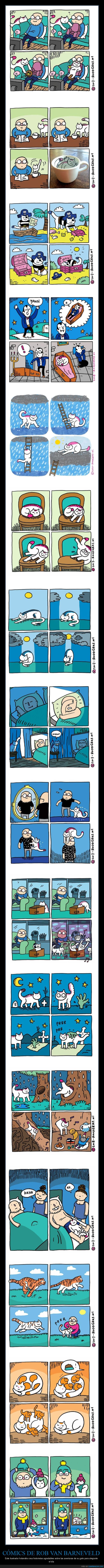 rob van barneveld,cómics,gato