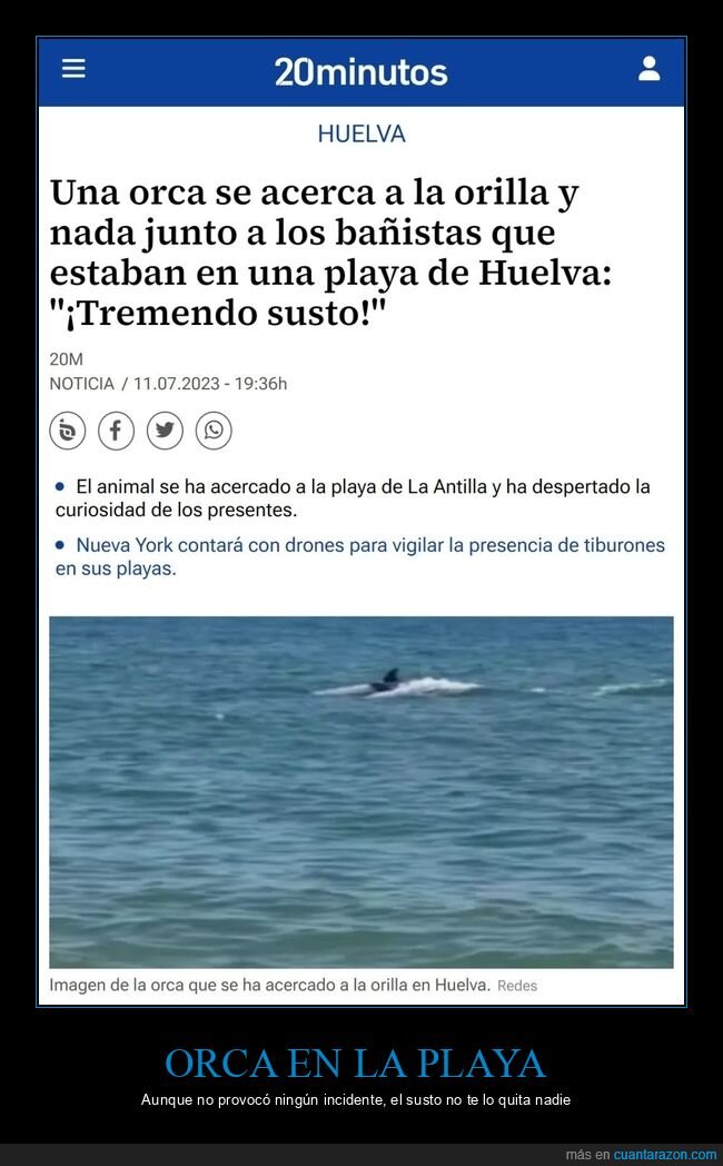 orca,playa,huelva