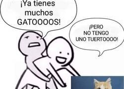 Enlace a El loco de los gatos