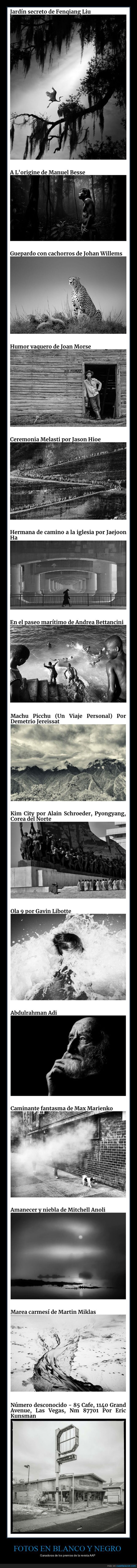 fotografía,concurso,blanco y negro