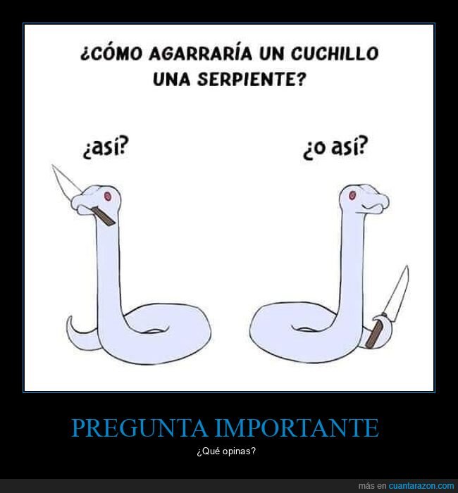 serpiente,cuchillo