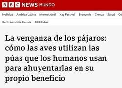 Enlace a La naturaleza nunca deja de sorprender