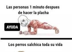 Enlace a No puedes competir