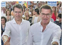 Enlace a Han clonado a Feijóo