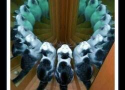 Enlace a Imágenes tan extrañamente ridículas que podrían provocarte una risa nerviosa