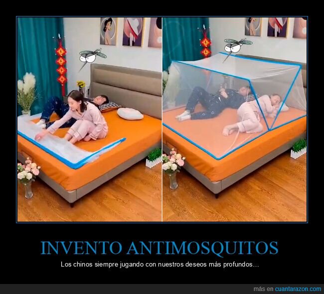 mosquitos,cama,chinos