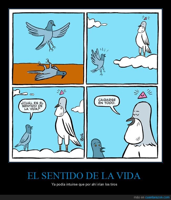 cagarse,dios,morir,palomas,sentido de la vida