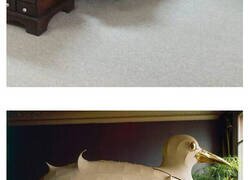 Enlace a Habitaciones con auras amenazantes