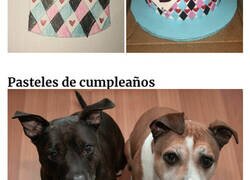 Enlace a Ocasiones en las que los resultados superaron las expectativas