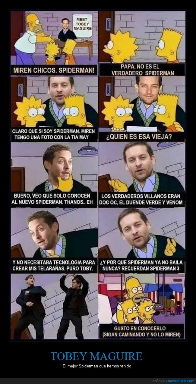 simpsons,spiderman,tobey maguire