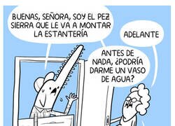 Enlace a El pez sierra carpintero