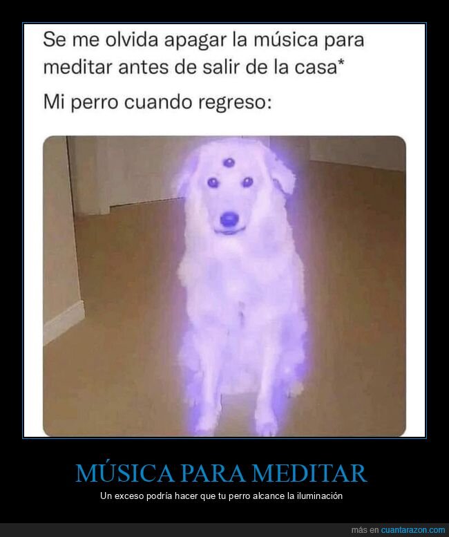 música para meditar,perro