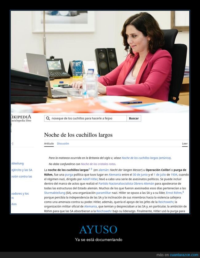 ayso,noche de los cuchillos largos,políticos