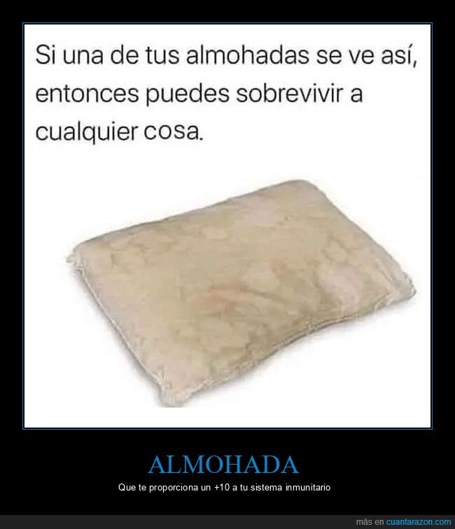 almohada,asco,sobrevivir