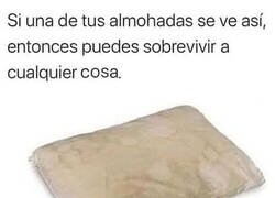 Enlace a ¿Tienes una almohada como esta?