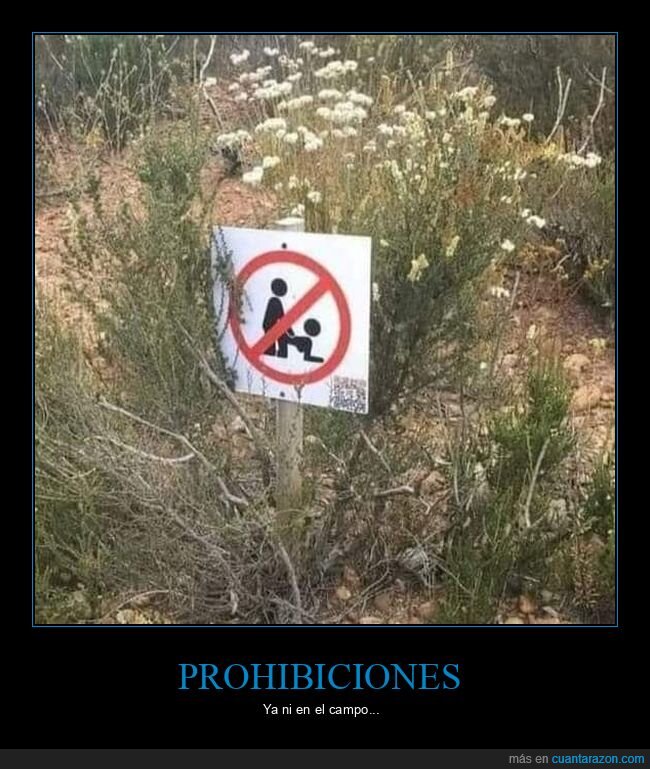 carteles,prohibición,wtf