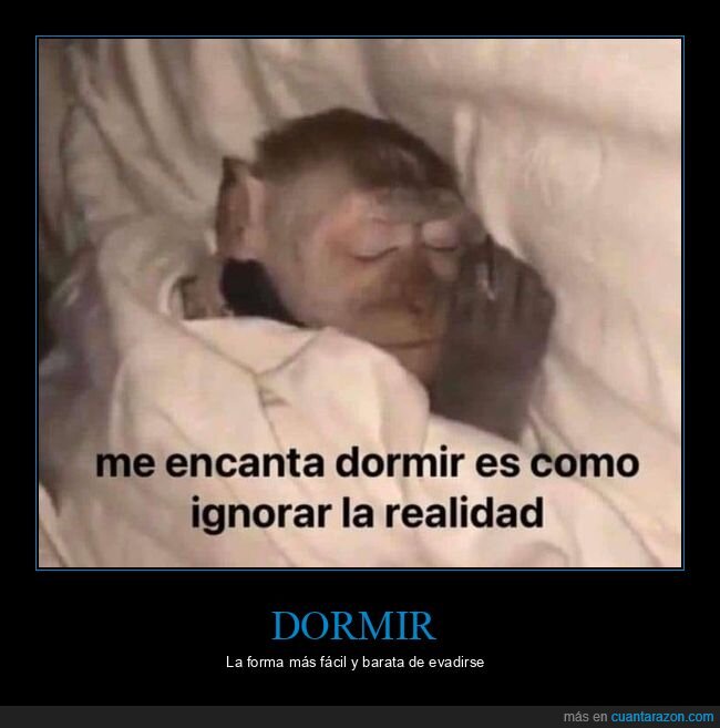 dormir,ignorar,realidad