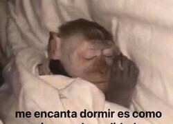 Enlace a Evadiendo la realidad