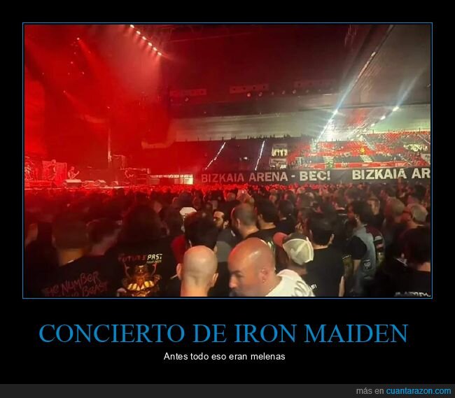 concierto,iron maiden,calvos,melenas