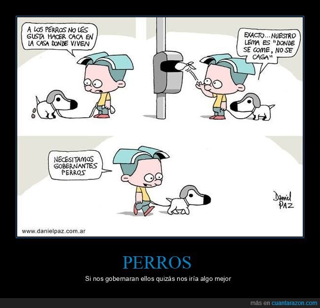 perros,caca,casa