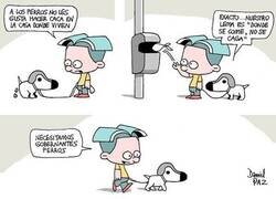 Enlace a Costumbres perrunas