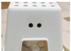 Enlace a Alguien te observa...