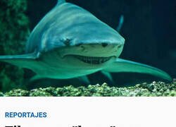 Enlace a Tiburones adictos