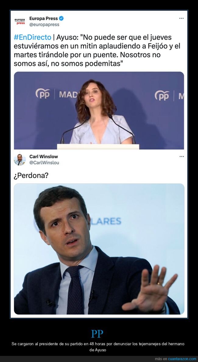 ayuso,feijóo,pablo casado,políticos,pp