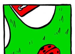 Enlace a Insectos en el universo