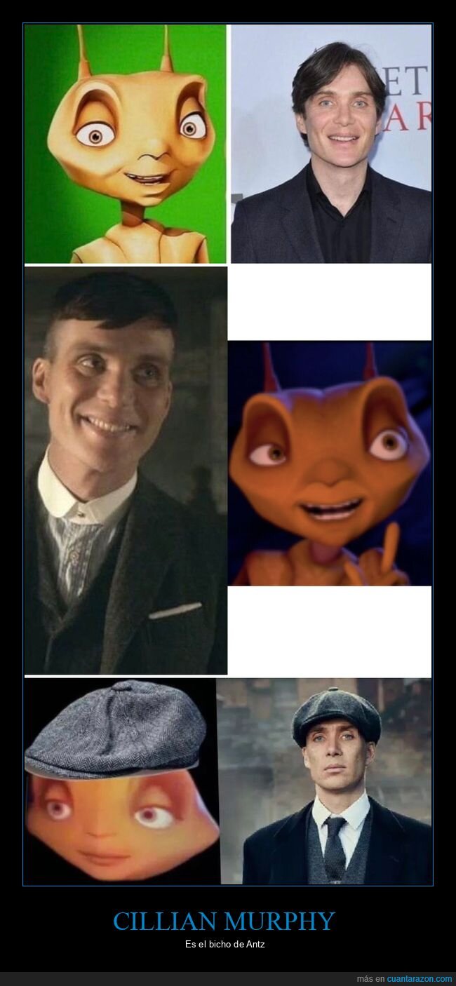 cillian murphy,antz,parecidos