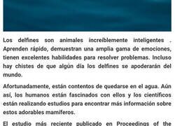 Enlace a El nuevo descubrimiento de los delfines que hablan como bebés con sus crías proporciona una visión fascinante de la crianza de los animales