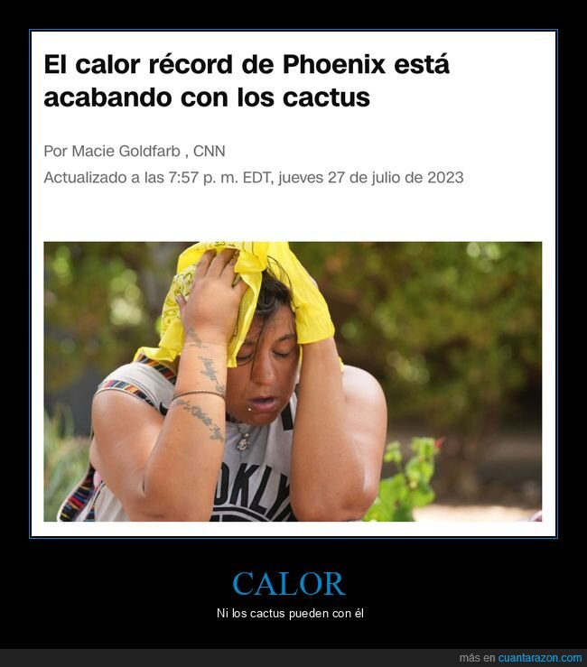 calor,phoenix,cactus