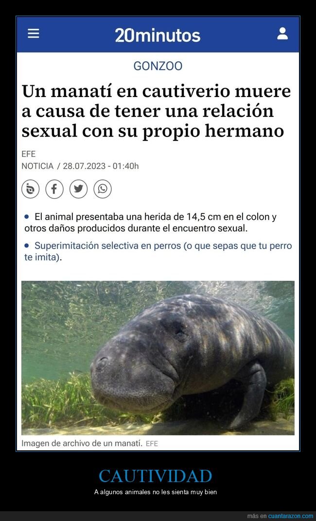 mantí,cutiverio,hermano