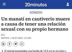 Enlace a Exceso de amor fraternal