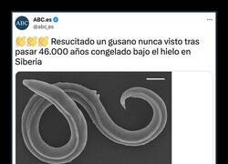 Enlace a Dejadlo como está...