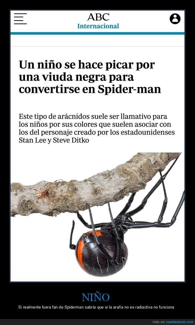 araña,niño,picar,spiderman,viuda negra