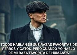 Enlace a No hay derecho...