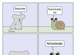 Enlace a Siempre funciona