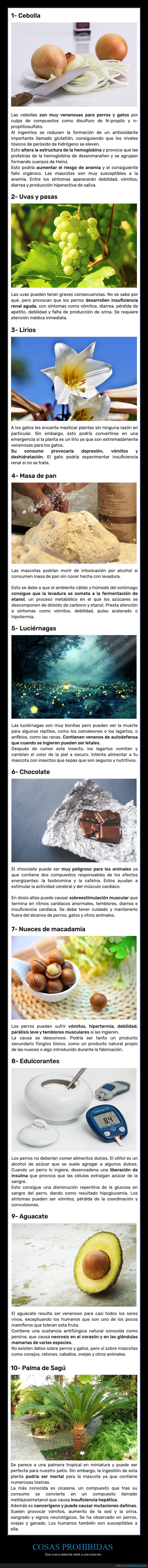 cosas prohibidas,comida,mascotas