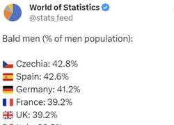 Enlace a Medalla de plata en alopecia