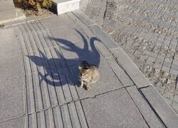 Enlace a Su auténtica forma