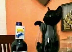 Enlace a Este vino hace honor a su nombre