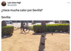 Enlace a Mientras tanto, en Sevilla...