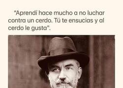 Enlace a No luches contra cerdos