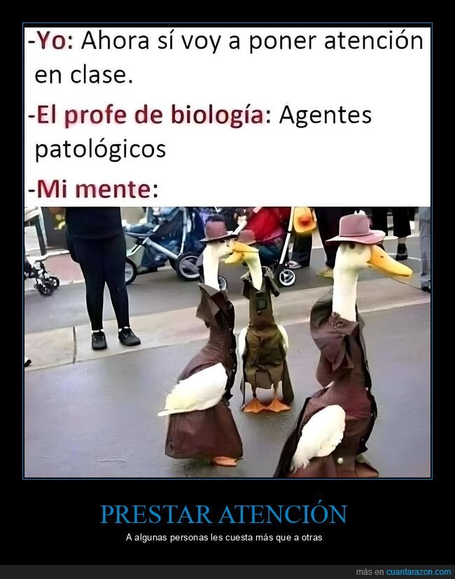 atención,clase,biología,agentes patológicos,patos