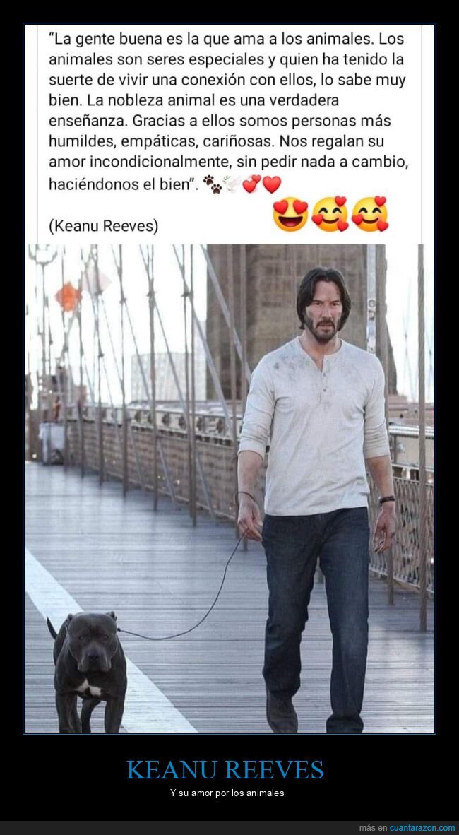 keanu reeves,animales