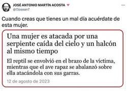 Enlace a Un mal día