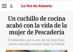 Enlace a Cuchillo asesino