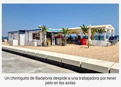 Enlace a Despedida por no depilarse